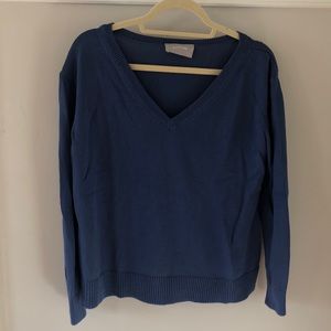 Everlane V Neck Cotton Sweater Blue Size Small